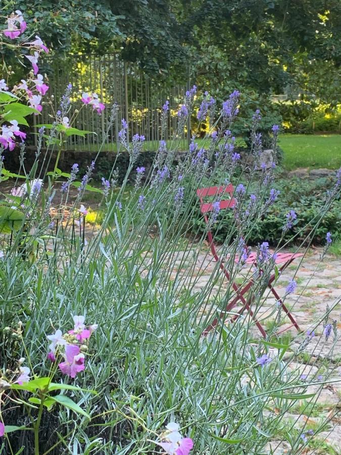 Moulin de Champrond -Montmirail -Sarthe Bed and Breakfast Buitenkant foto