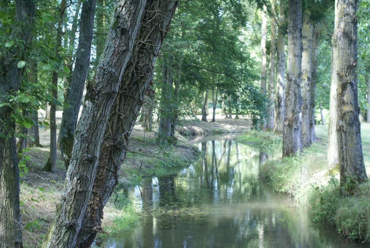 Moulin de Champrond -Montmirail -Sarthe Bed and Breakfast Buitenkant foto
