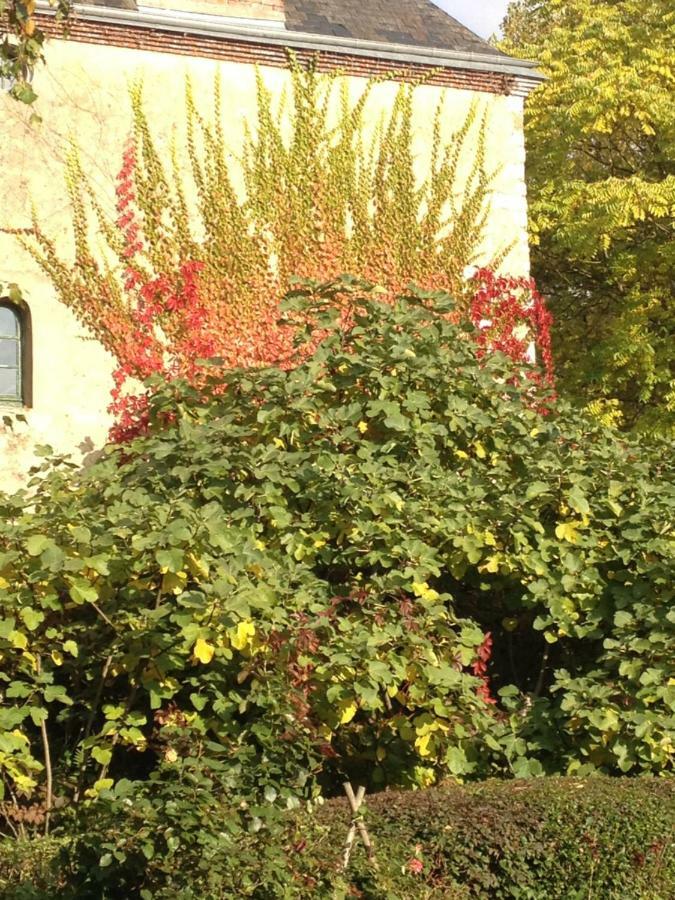 Moulin de Champrond -Montmirail -Sarthe Bed and Breakfast Buitenkant foto