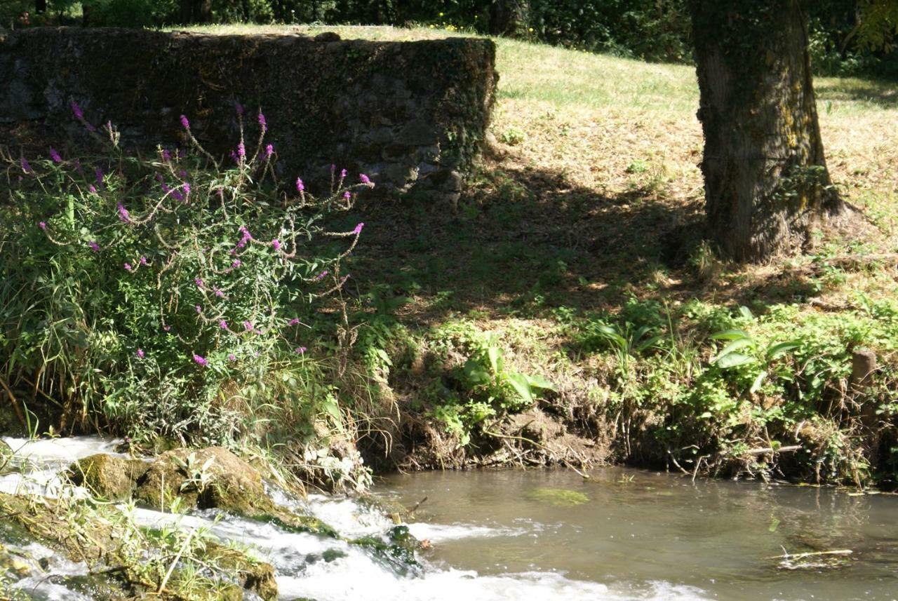 Moulin de Champrond -Montmirail -Sarthe Bed and Breakfast Buitenkant foto